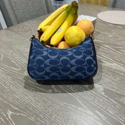 Coach Teri Shoulder Bag 