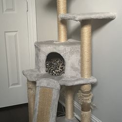 Refurbished Cat or ferret tower!