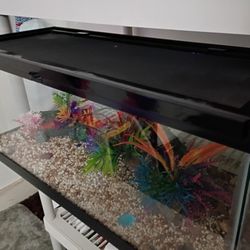 20 Gallon Long with Locking Screen Lid