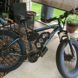 Electric E Bike