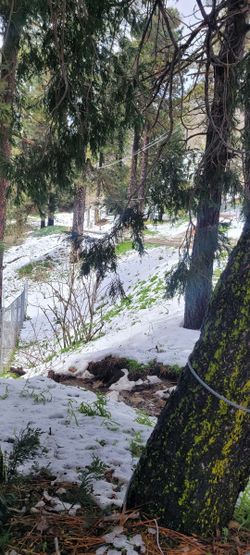 Crestline, CA 2,500 Square Foot Lot For Sale