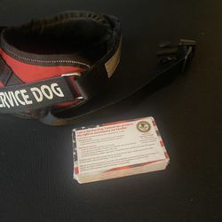 Service Dog Harness And Cards