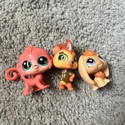 Littlest pet shop