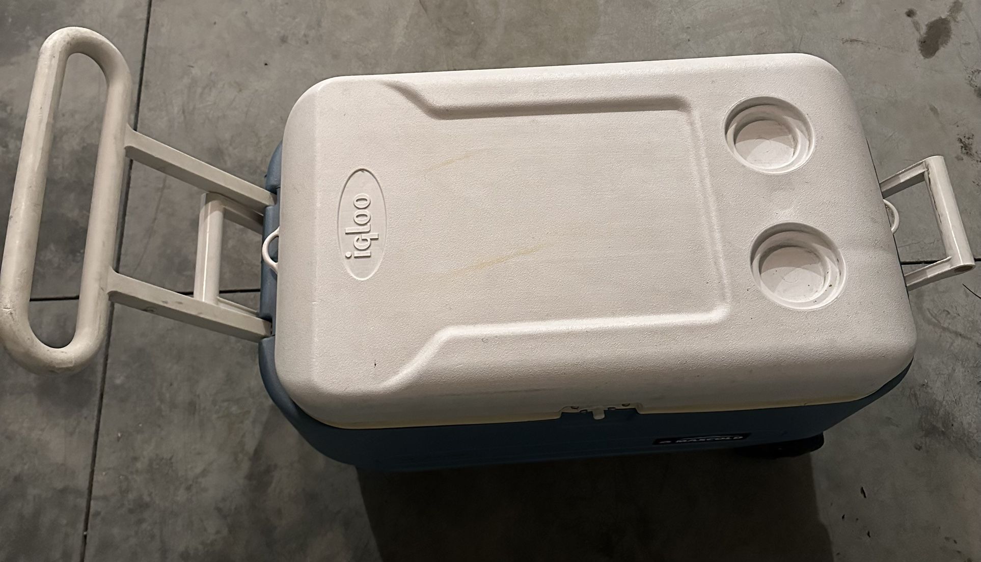 Igloo Cooler