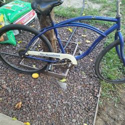 Schwinn Bike 