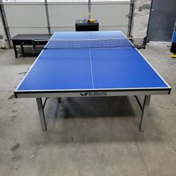 Ping Pong Table