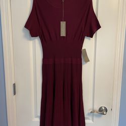 MUST GO!!  BRAND NEW Sweater Dress (Maroon)