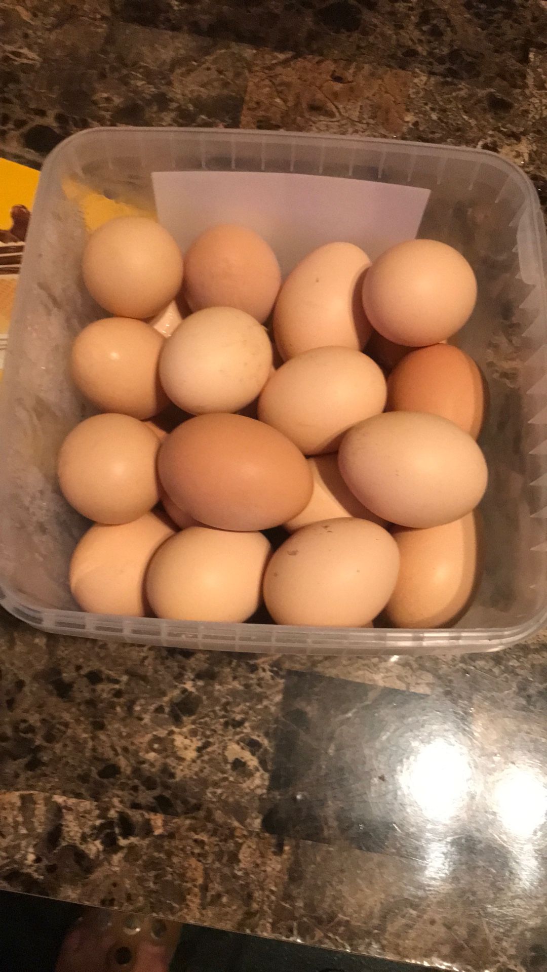 20$ For 36 Eggs