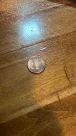 I Have Pennies For Sale