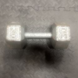 30 lb Dumbell