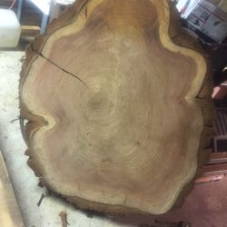 California Redwood Slab “cookies”/Cottonwood Slab