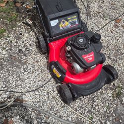 Push mower working  perfect  with bag