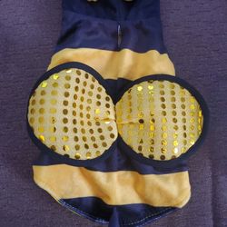 Xsmall Dog Bumblebee Costume 