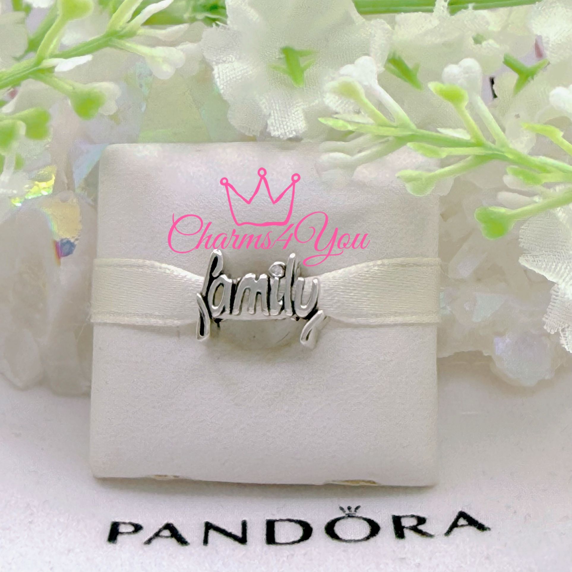 Adorable Charm 925 silver for Pandora moments bracelet.