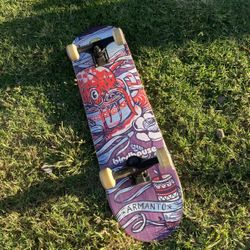 Birdhouse Skateboard 