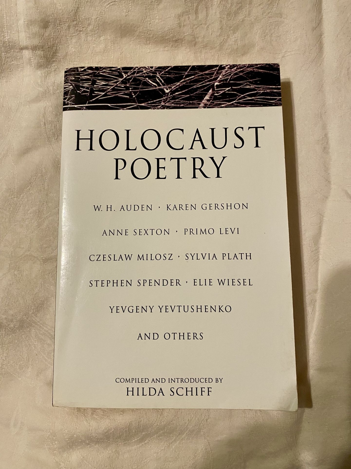 Holocaust Poetry By Hilda Schiff