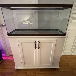 30 Gallon Aquarium Fish Tank, Stand, And 2 Filters