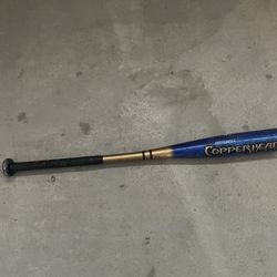 Bat