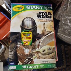 2 Large Coloring Books With Color Crayons