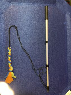 RETRACTABLE DOG FLIRT POLE