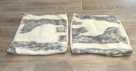 West elm pillow cover : both for $40