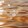 Honey Glow Co
