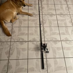 Ugly Stick fishing rod Gx2