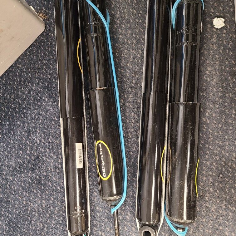 Eospectrum Shocks Model 37024