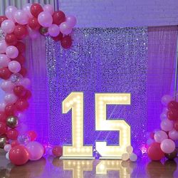 Quinceañera Marquee Number 