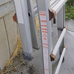 Little Giant Ladder 