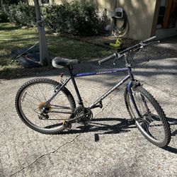 Men’s Schwinn Bicycle