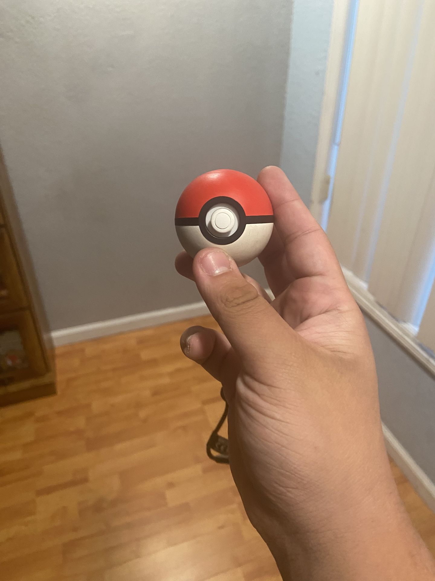 Pokémon Controller