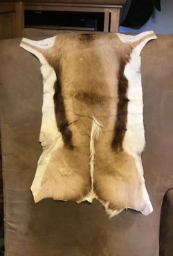 Deer skin
