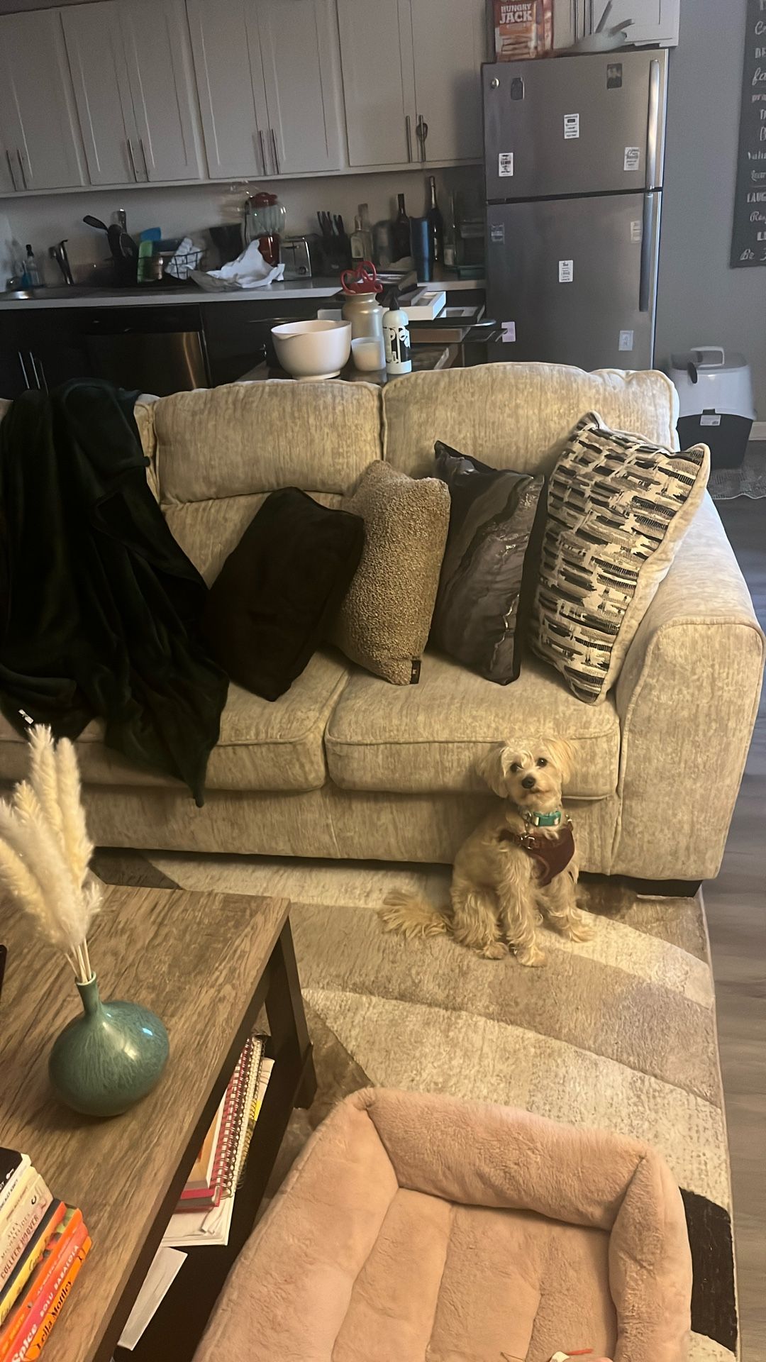 Sectional Couch For Sale