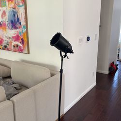 Lamp Light