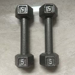 Two 5-lb Hand Weights