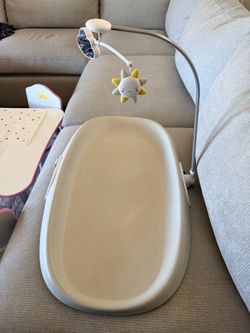 Skip Hop Changing Pad