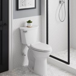 NEW  Standard
Cadet PRO  Extra Tall 19" Elongated $99 WOW BIG SAVINGS