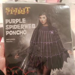 Spiderweb Poncho