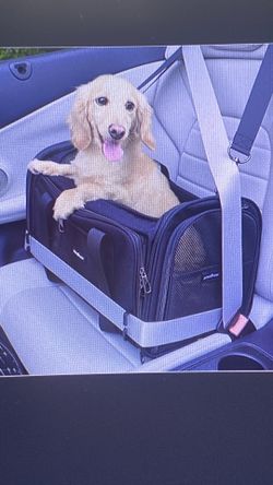 New Cat/ Dog Premium Carrier