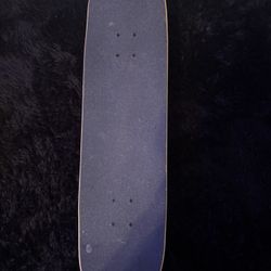 Santa Cruz Skateboard 