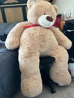 Big bear like new