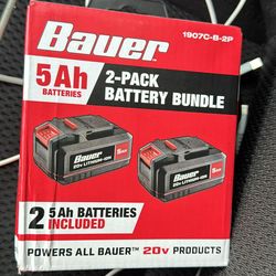 Bauer batteries 2 pack