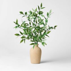 Ruscus Potted Artificial Arrangement from Threshold™ designed with Studio McGee
