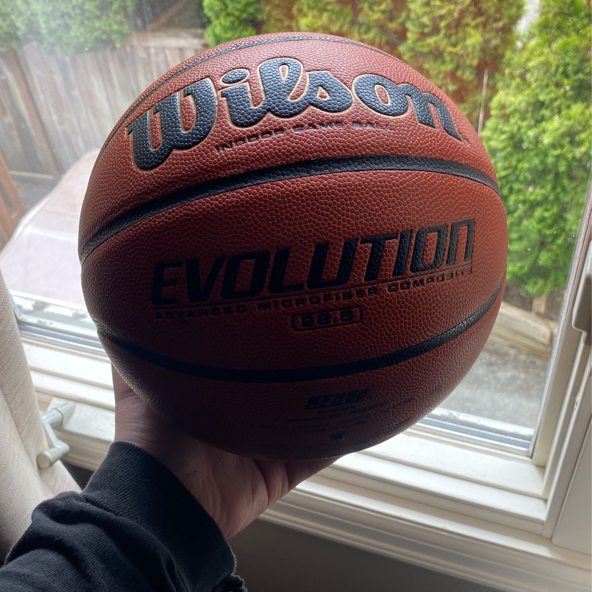 WILSON EVOLUTION BASKETBALL 