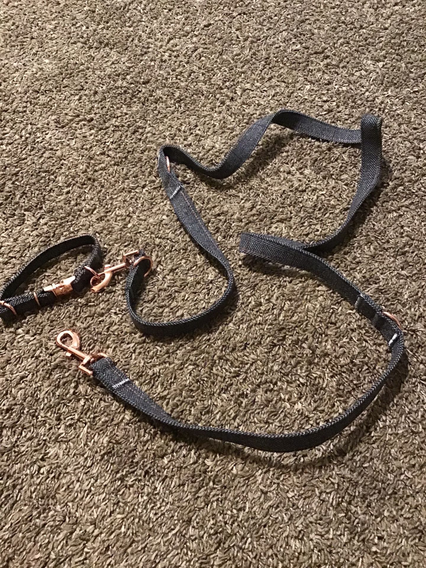 Small Dog Collar And Leash