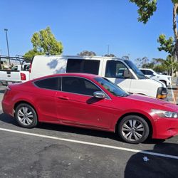 2010 Honda Accord