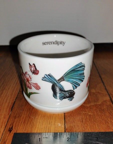 Mini Betta Fish and Iris Flowers Planter. Ceramic Tray. By Serendipity