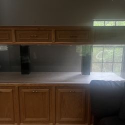 Fish Tank