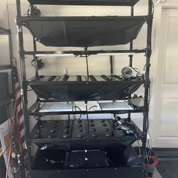 Aeroponic Grow System (professional)
